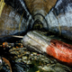 Illustration for article titled City Officials Warn Against Flushing Feminine Hygiene Products After Finding 8-Foot-Long, 250-Pound Tampon Lurking In Sewers
